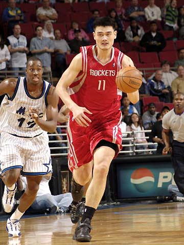 青岛海牛 青岛海牛